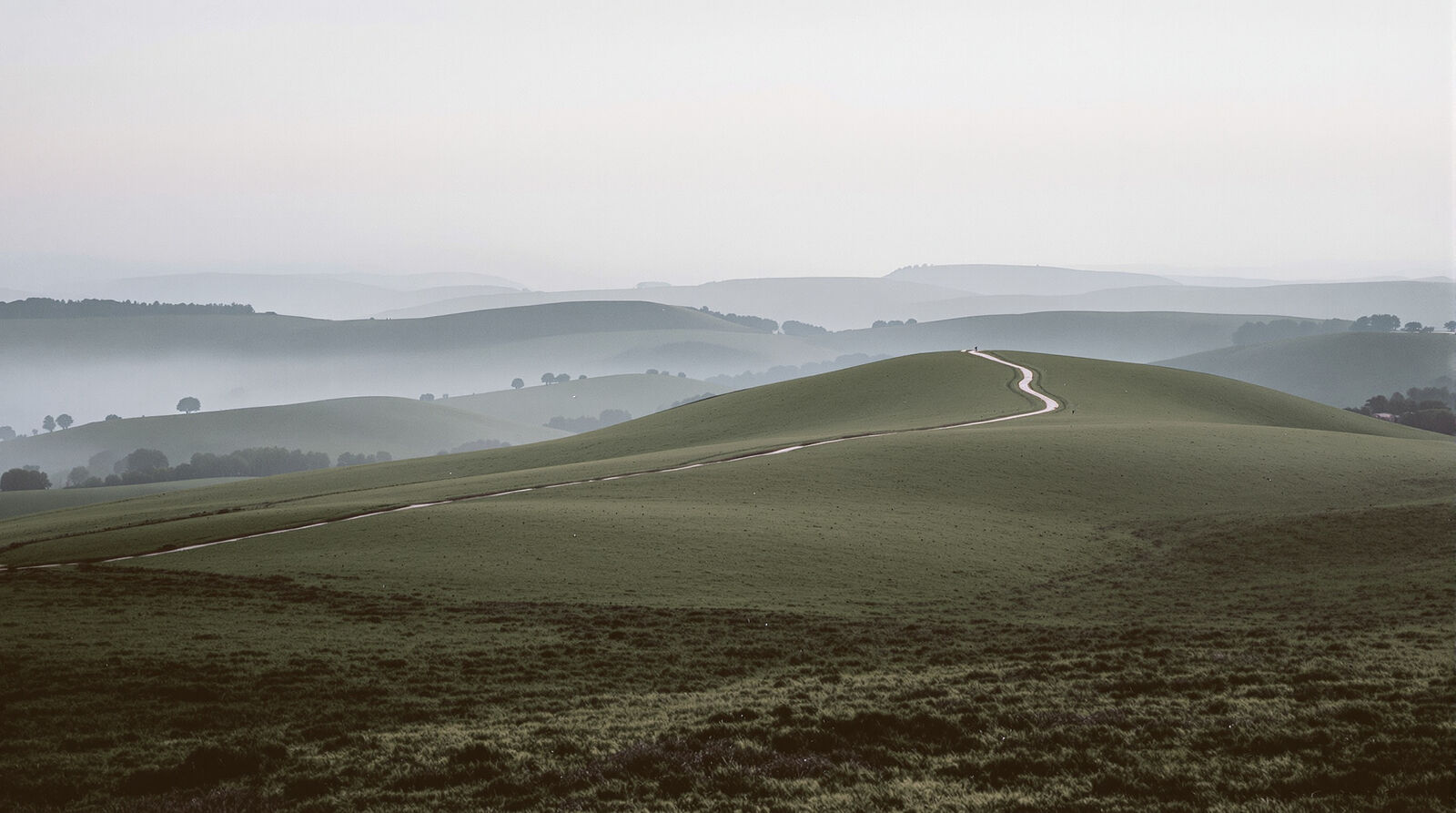 Rolling chalk downland at dawn, a pale track running over the hill and mist in the valleys.